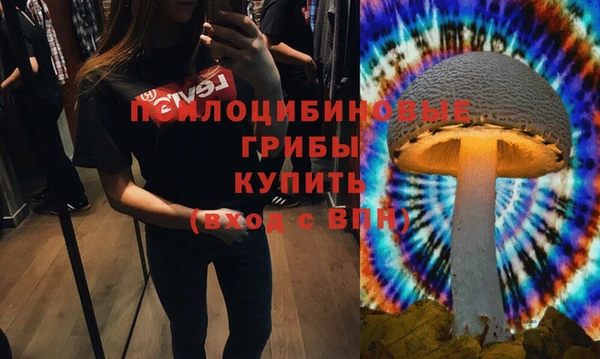 спиды Магадан