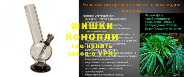 амф Майский