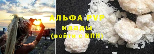 амф Майский