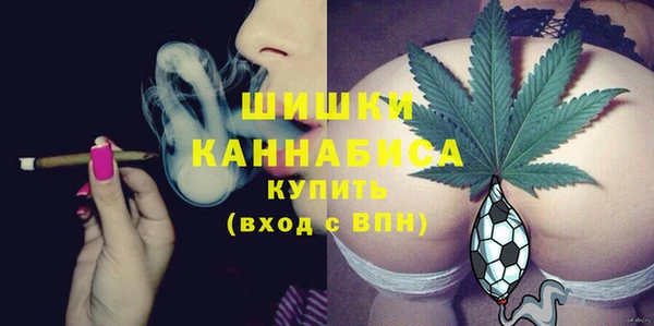 амф Майский